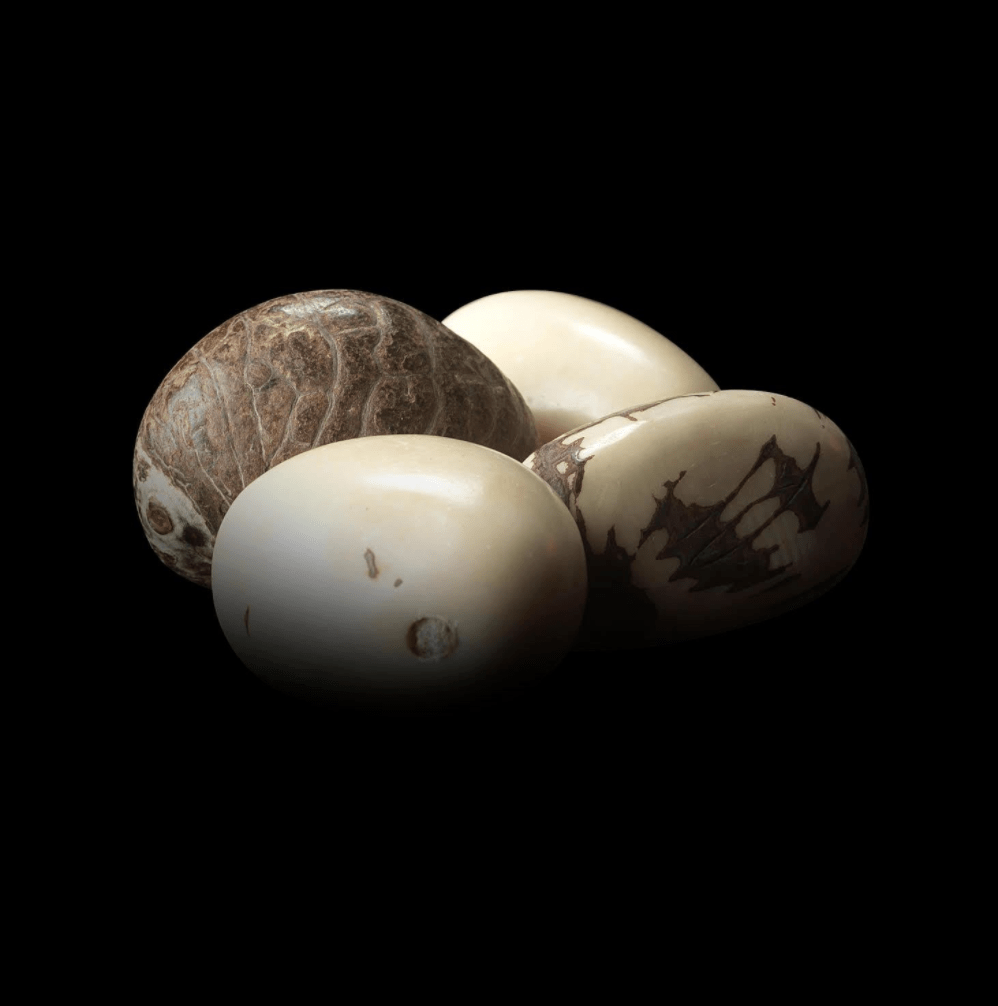 
                  
                    Wild-harvested Tagua Seed Elephant Pendant - Alexandra Mor online
                  
                
